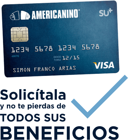 Americanino Visa